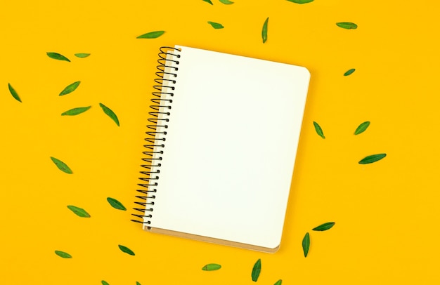 Spring card mockup with nontepad for sketches, blank paper, green leaves on yellow desktop photo