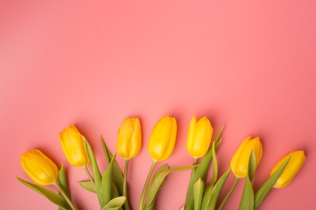 Spring card: yellow tulips on a coral background. Top view, lay flat.