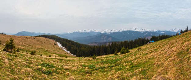 Spring Carpathian mountains