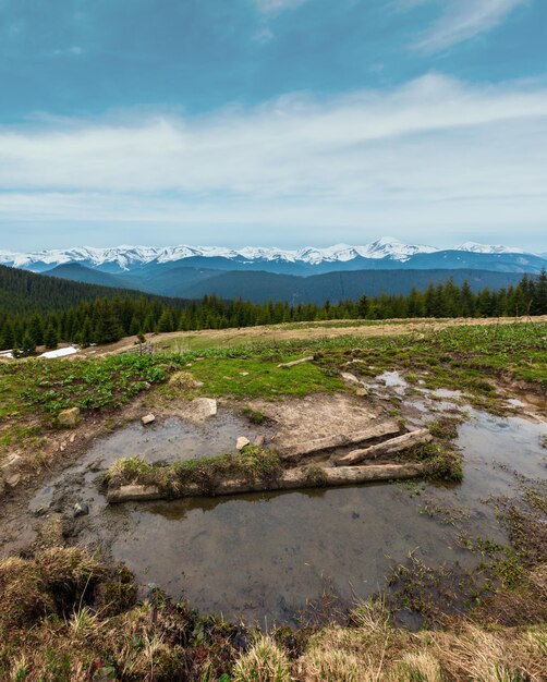 Spring Carpathian mountains