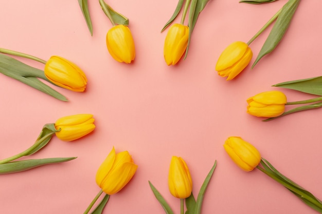 Spring circle frame of yellow tulips lie in a circle on a pink background Space for text