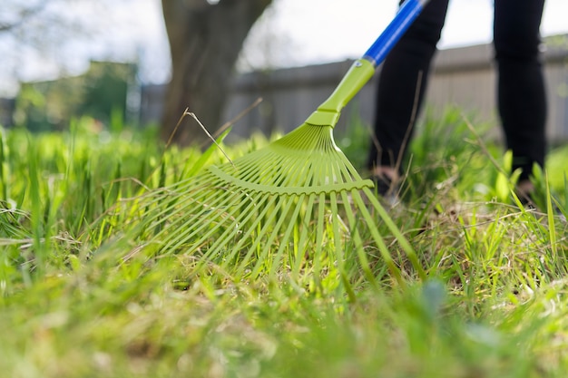 Весенняя уборка в саду, грабли крупным планом, очищающие зеленую траву от сухой травы и листьев