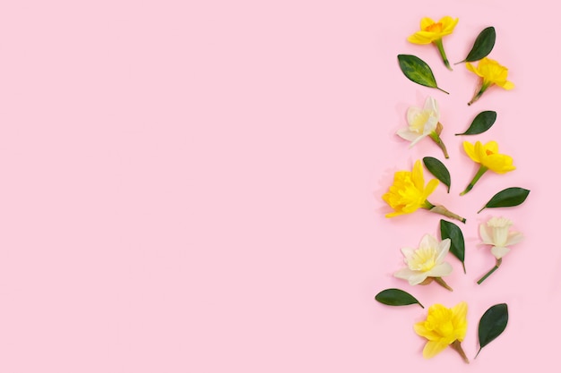 수 선화 꽃과 분홍색 배경에 잎으로 만든 봄 구성