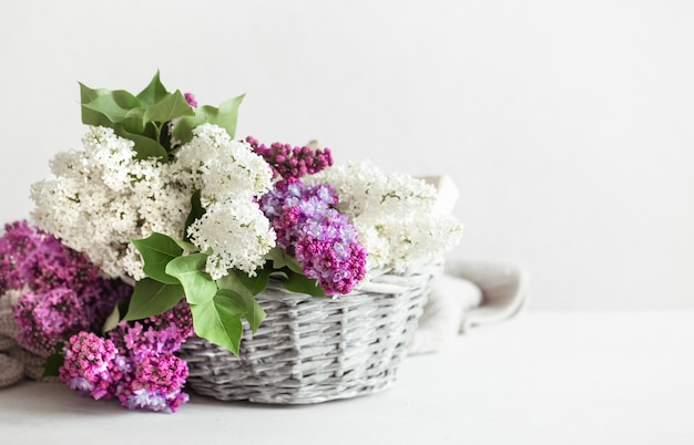 Spring composition with colored lilac flowers in a wicker basket. Space for text. Gift baskets and flower deliveries concept.