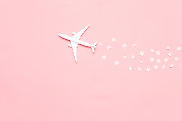 Photo spring concept with plane and flower petals on pink background with copy space.