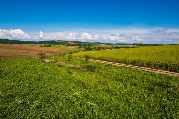 Spring countryside view with dirty road rapeseed yellow blooming fields village hills Ukraine Lviv Region