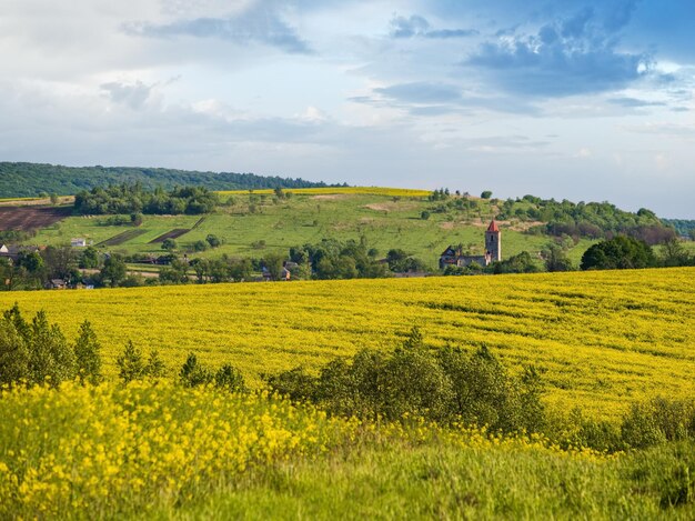 Spring countryside view with rapeseed yellow blooming fields groves hills Ukraine Lviv Region