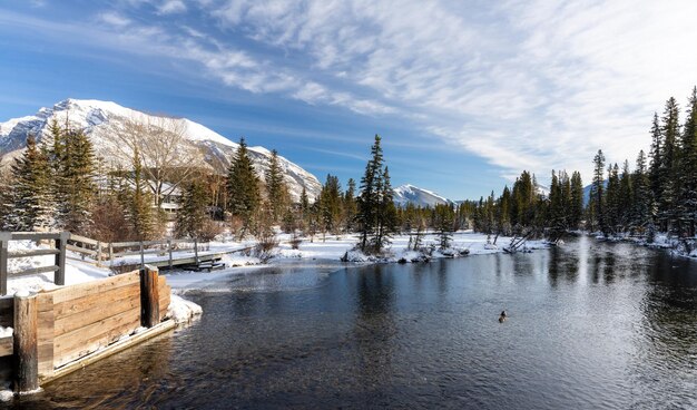 Spring creek boardwalk in de winter. stad van canmore, alberta, canada.