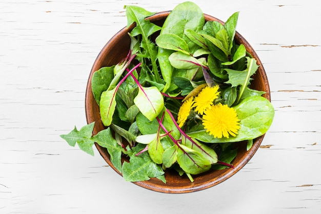 Spring dandelion salad