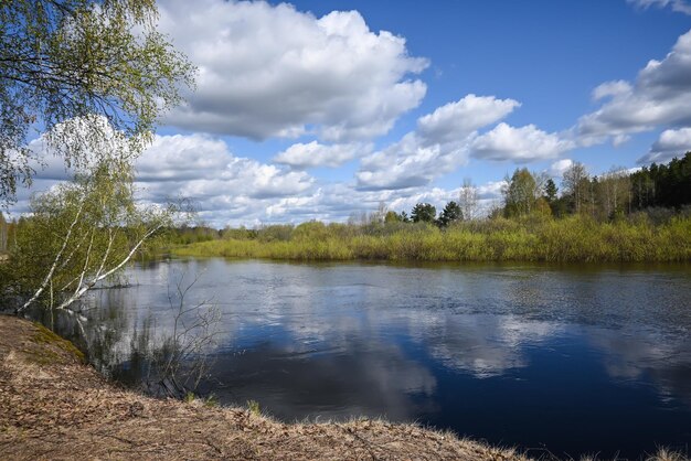 Spring day on the forest river