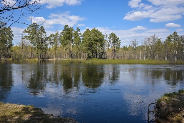 Spring day on the forest river