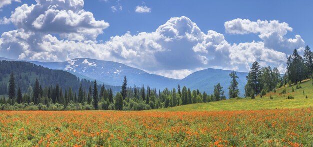 咲く牧草地を見下ろす山々の春の日