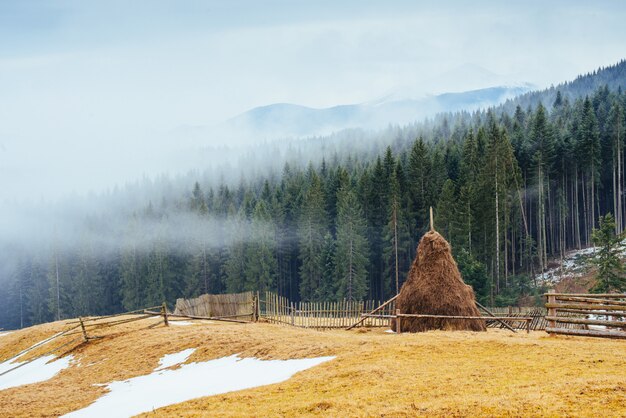 Spring day in the mountains of Ukraine.