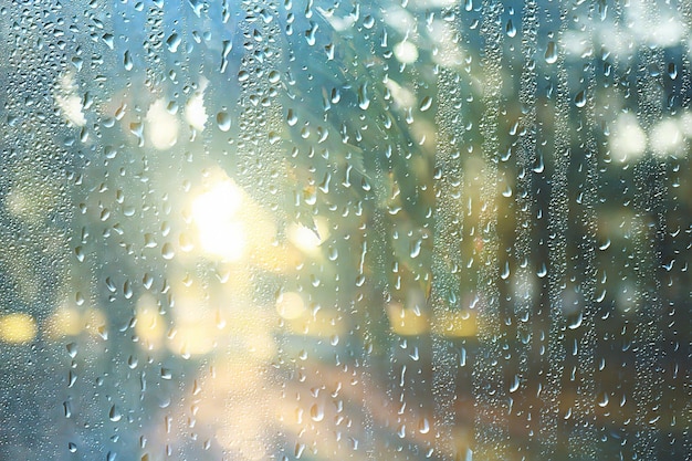 公園の春の日/窓からの公園の春の風景の眺め、ガラスの雨滴