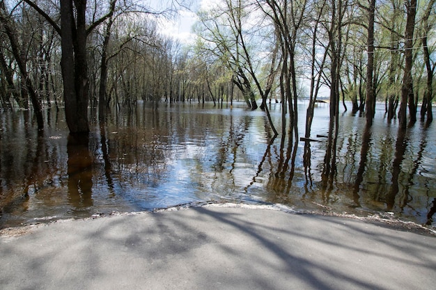 Spring flood on a river in Europe as a result of seasonal snowmelt and groundwater rise flooding of a footpath