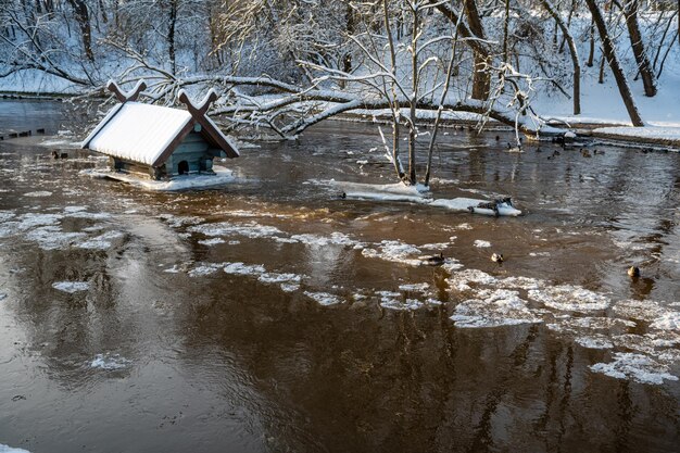 Весеннее половодье и таяние льда в затопленной из-за подъема уровня воды кормушке водоплавающей небольшой речки Добеле