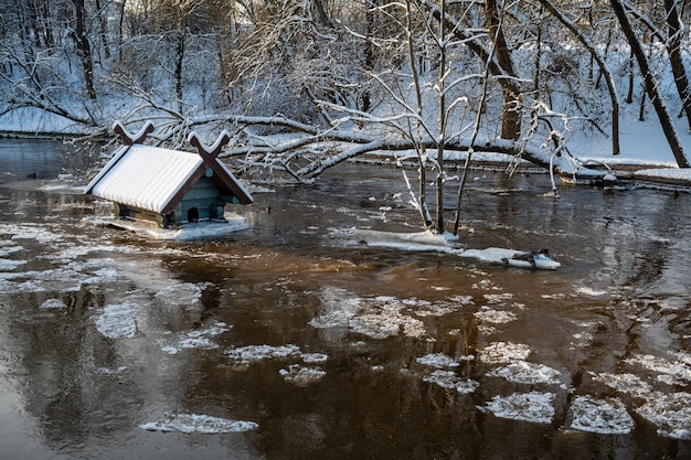 весенние паводки и таяние льда в небольшой речной кормушке для водоплавающих птиц, затопленной из-за повышения уровня воды Латвия