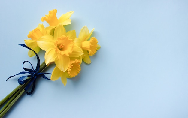 Spring floral background bouquet of narcissus on blue background top view flat lay International Womens Day March 8 holiday Card with flowers Place for text