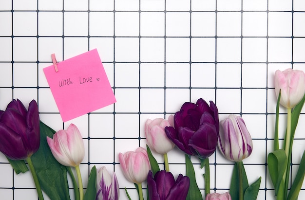 Фото Весенний цветочный фон с копией пространства. плоская рамка из цветущих тюльпанов с каплями воды