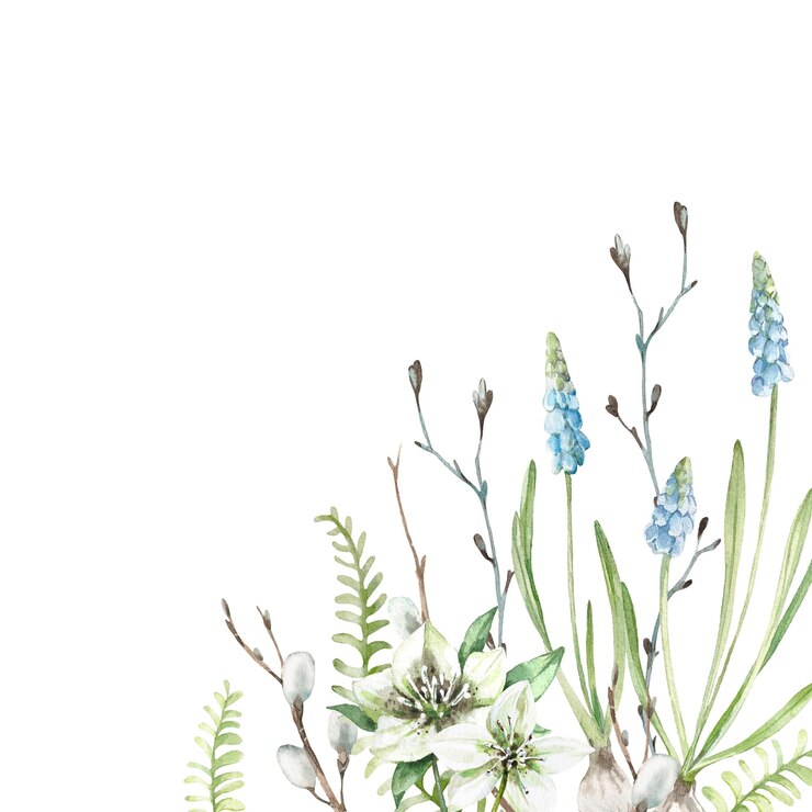 Photo マスカリの花とフェルンの葉の春の花のカード 手描きの水彩画