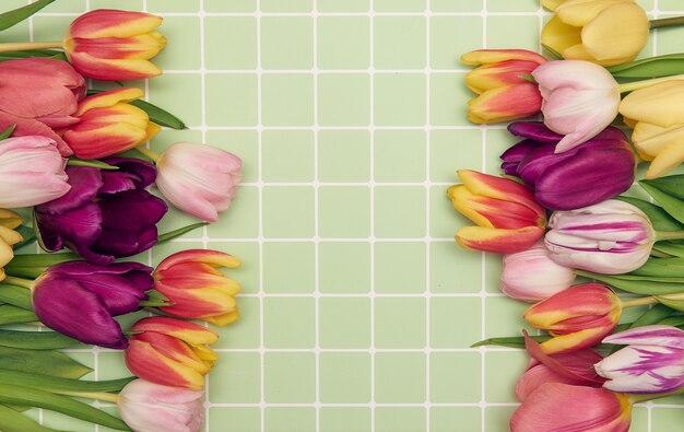 Spring floral composition with tulip flowers