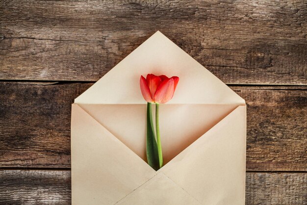 Spring flower in an envelope