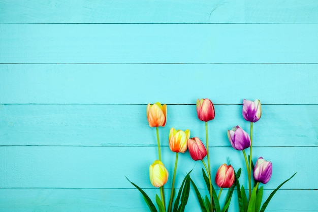 Spring flower of multi color Tulips on wood