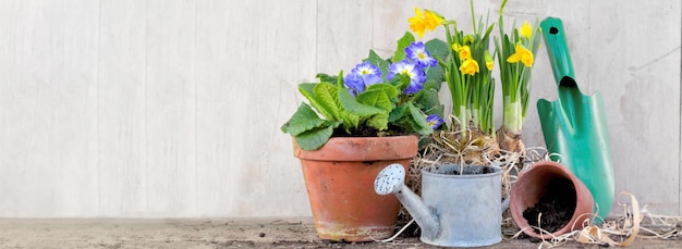 Spring flower pots and gardening equipment on wooden background