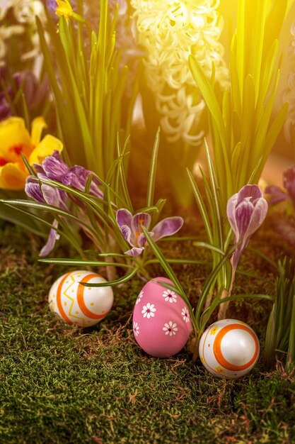 Spring flowera and Easter eggs