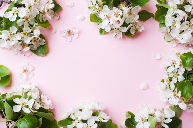 Spring flowering branch on pink 