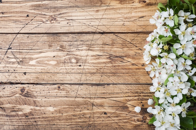 Spring flowering branch on wood