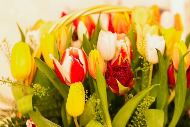 Spring flowers banner  a bouquet of multicolored tulips on a beige background