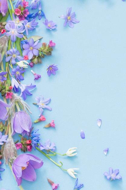 Spring flowers on blue background