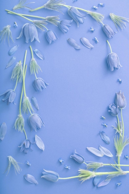 Spring flowers on blue paper background