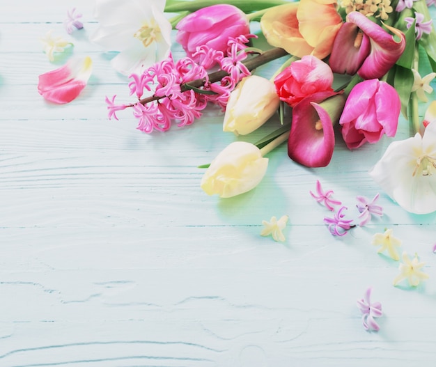 Fiori primaverili su fondo di legno blu