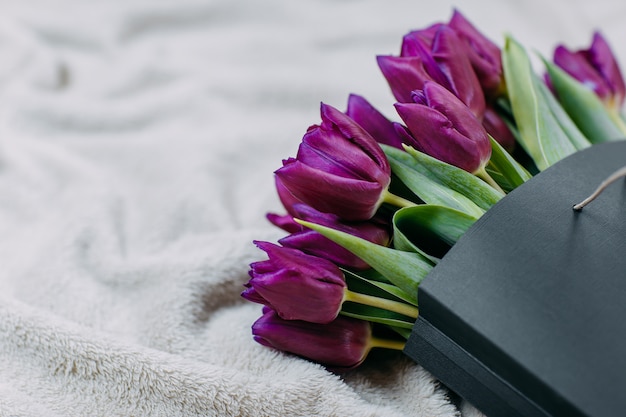 Spring flowers, bunch of purple tulips in black paper bag on the beige plaid.