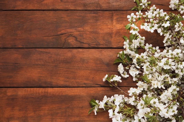 Spring Flowers Cherry, Dark Wooden surface. Flat lay, top view