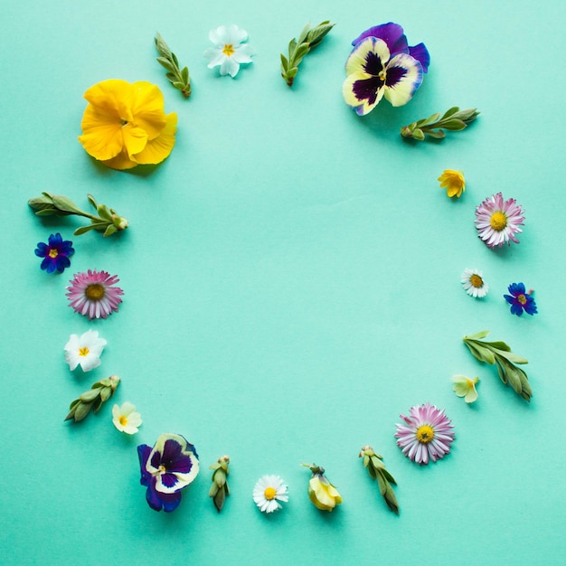 Spring flowers circle round frame, flat lay details on green background. Minimalistic design nature concept