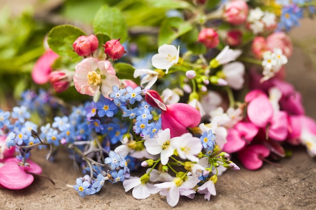 春の花がクローズアップ