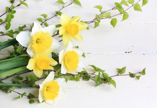 Spring flowers daffodils birch branches white background