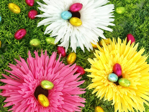 Spring flowers and Easter