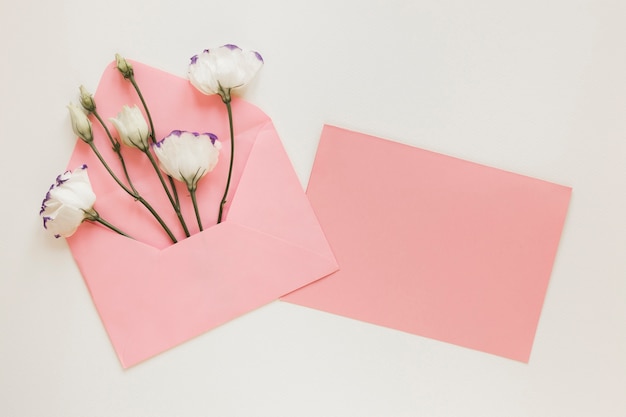 Photo spring flowers in envelope top view