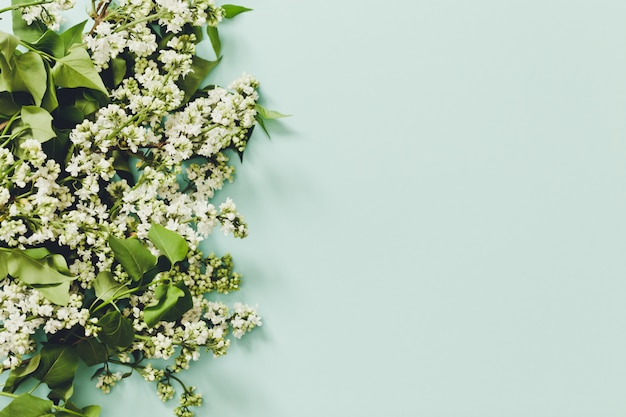 Spring flowers. Frame of twigs of blooming white lilac on a blue background. top view. place for text