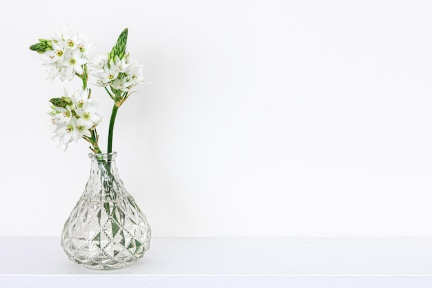 Spring flowers in glass vases isolated on white background