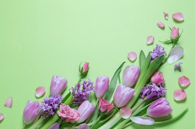 spring flowers on green paper background