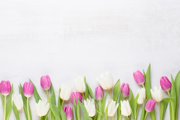 Spring flowers, greeting card, pastel color tulips on the gray background.