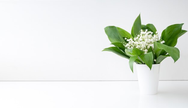 Fiori di primavera mughetto e foglie verdi in vaso bianco. copia spazio.