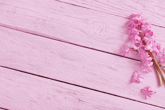 Spring flowers on old pink wooden background