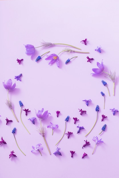 Spring flowers on paper background