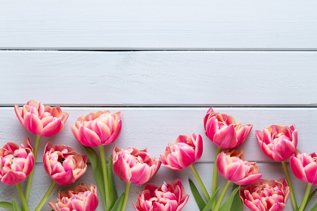 Spring flowers on pastel color